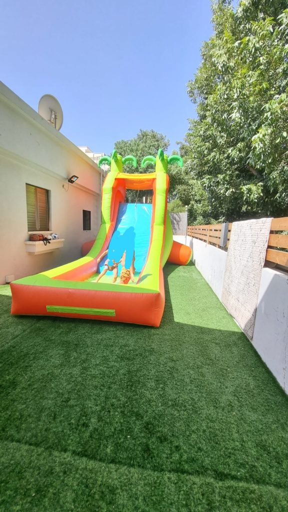 מתקן דקלים חדש