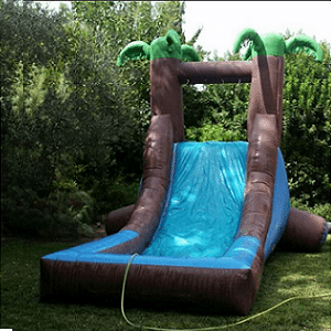 מגלשת מים דקלים